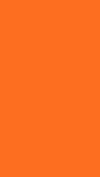 10 orange sm