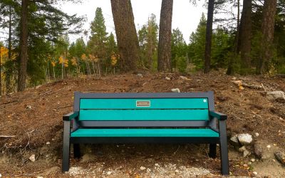 Wishbone-Rutherford-Wide-Body-Memorial-Bench-at-Agur-Lake-Near-Summerland-BC