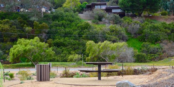 Wishbone-West-End-Waste-Receptacle-and-Single-Ped-Picnic-Table-in-Del-Mar-California
